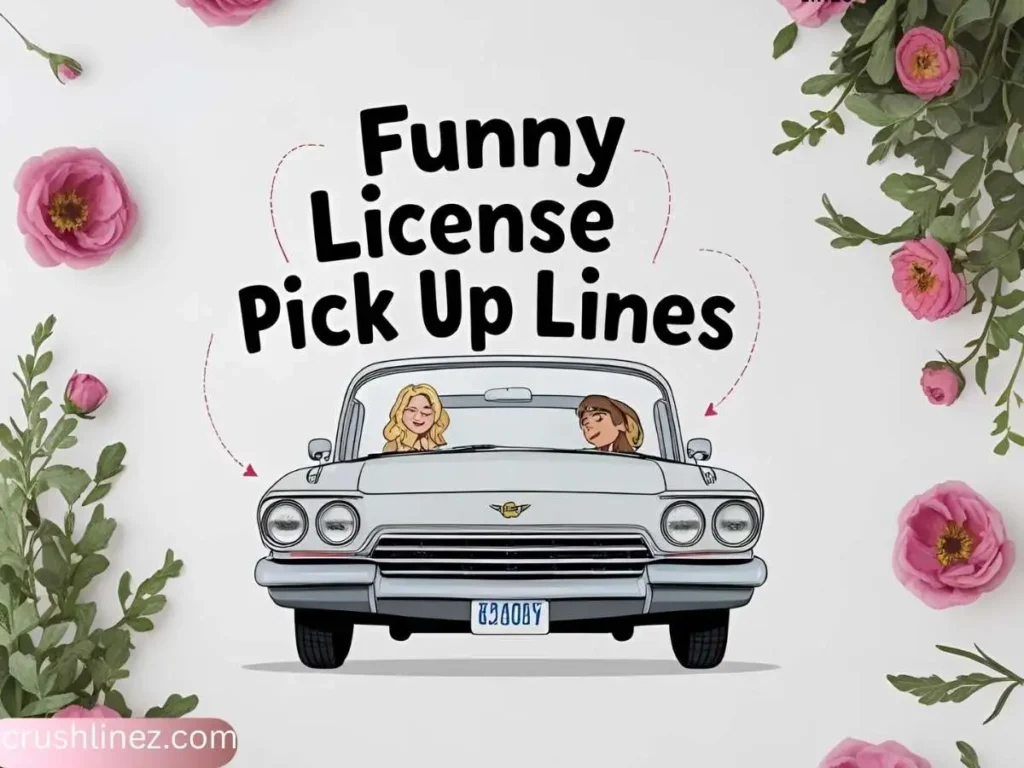 Funny License Pick Up Lines
