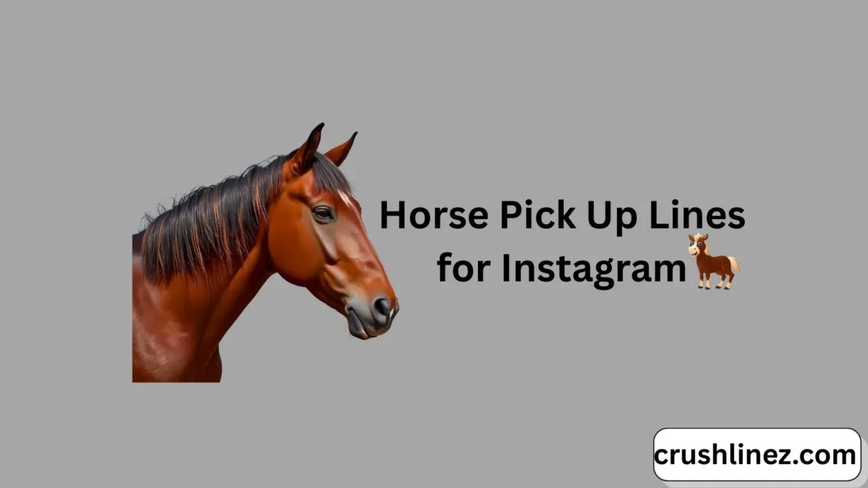 Horse Pick Up Lines for Instagram