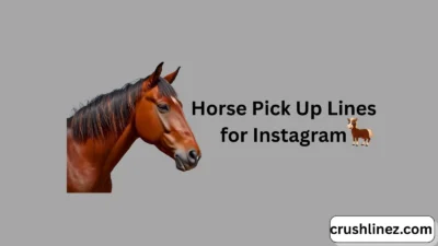 Horse Pick Up Lines for Instagram