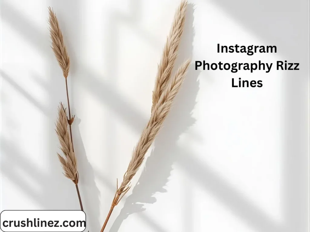 Instagram Photography Rizz Lines