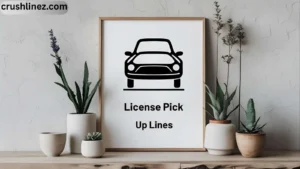 License Pick Up Lines