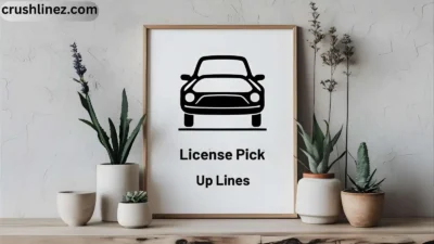 License Pick Up Lines