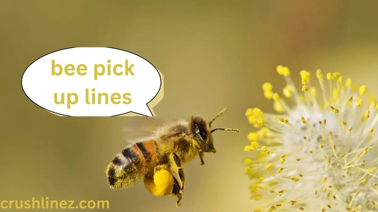 bee pick up lines
