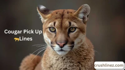Cougar Pick Up Lines