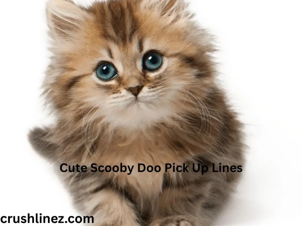 Cute Scooby Doo Pick Up Lines