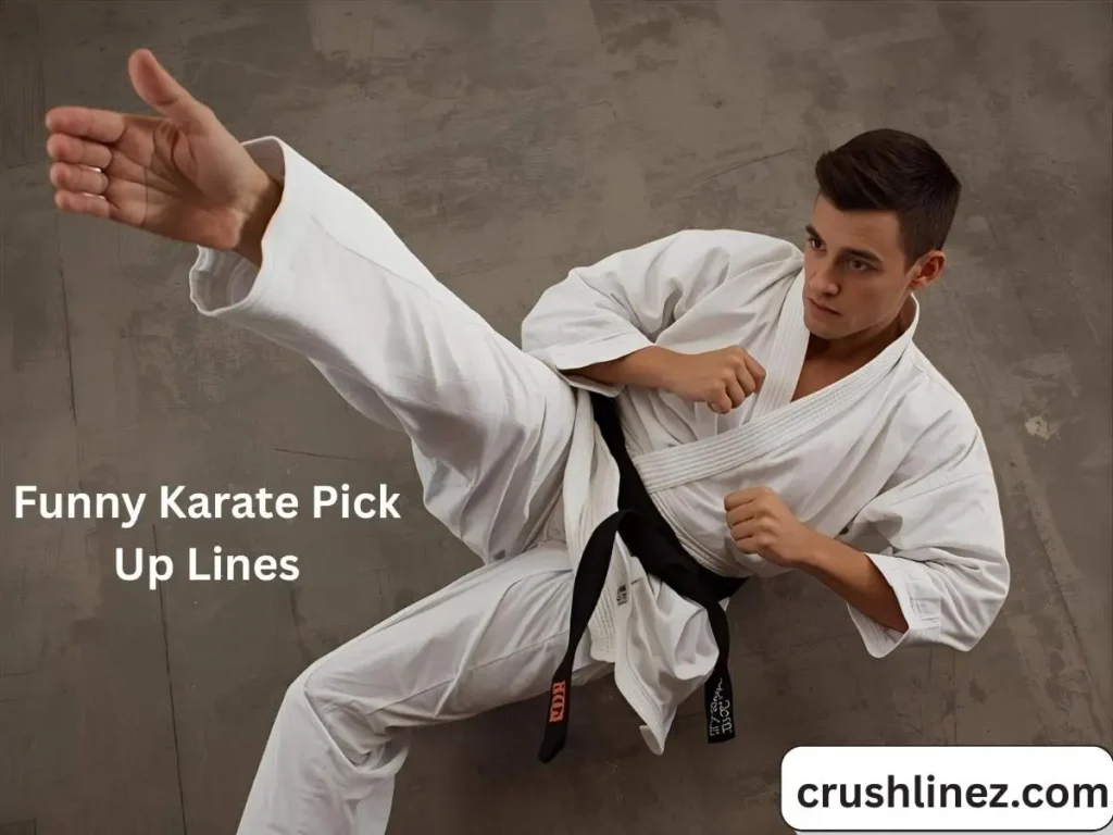 Funny Karate Pick Up Lines