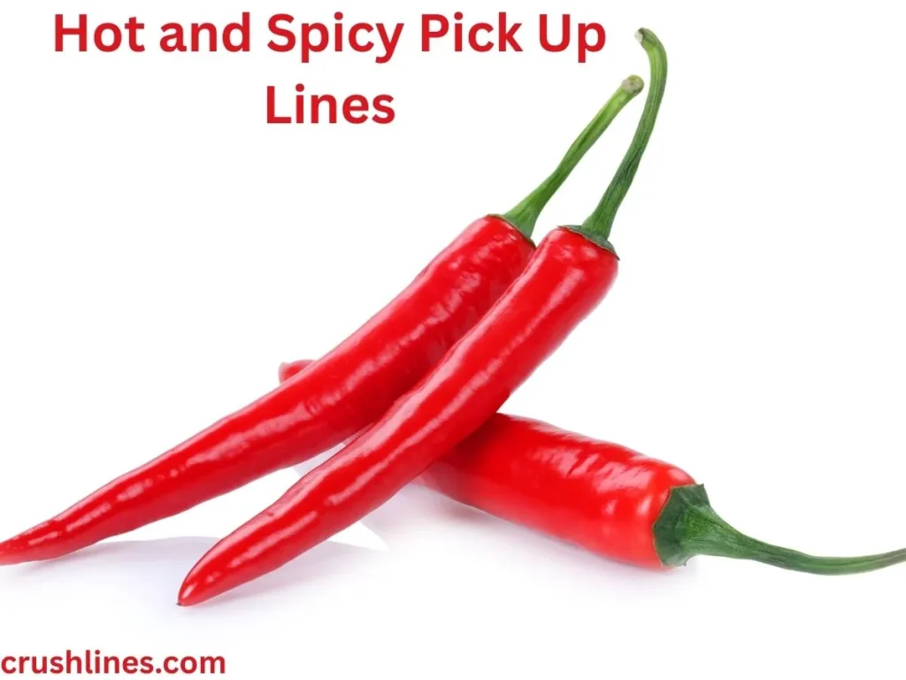 Hot and Spicy Pick Up Lines