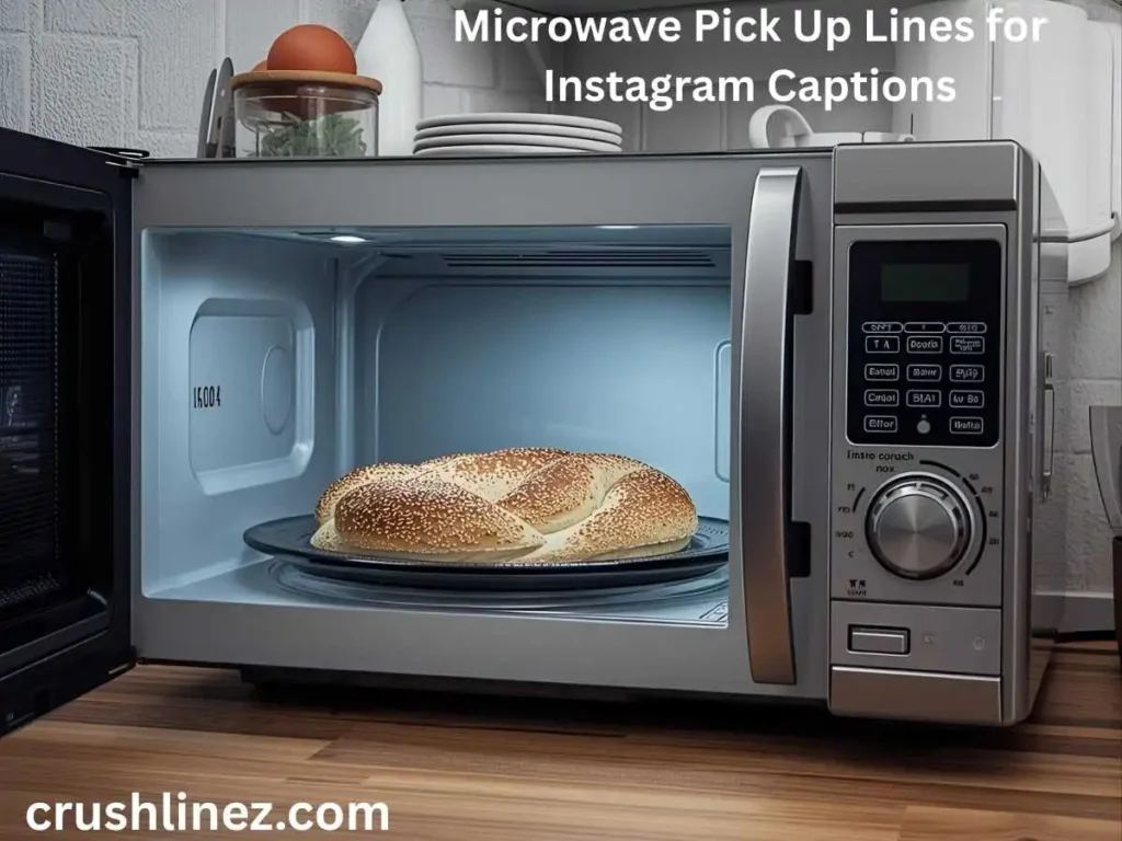 Microwave Pick Up Lines for Instagram Captions