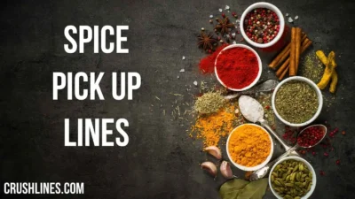 Spice Pick Up Lines
