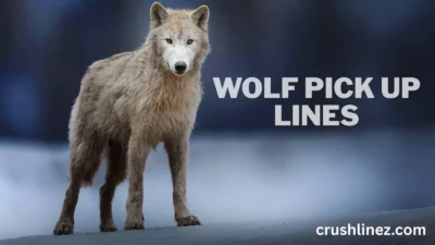 Wolf Pick Up Lines
