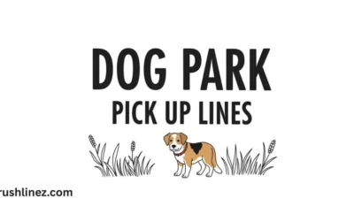 Dog Park