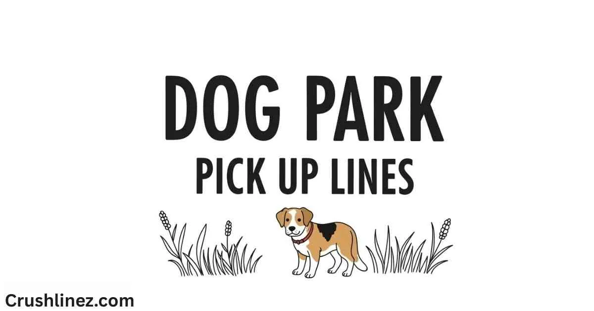 Dog Park